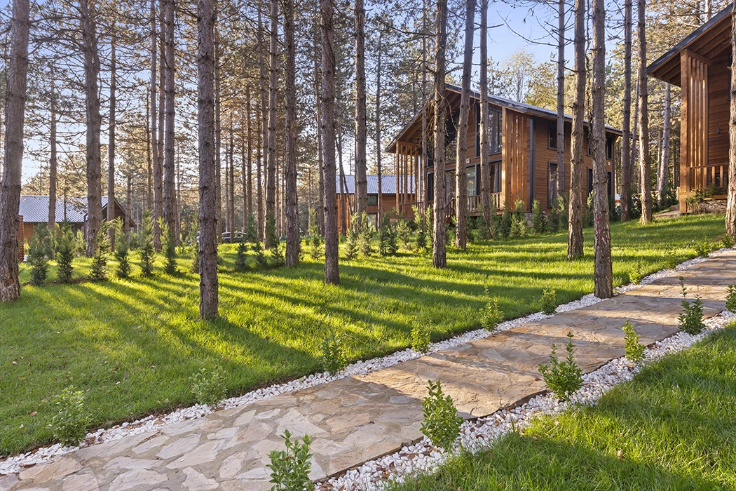 Orman İçi Taş Patika